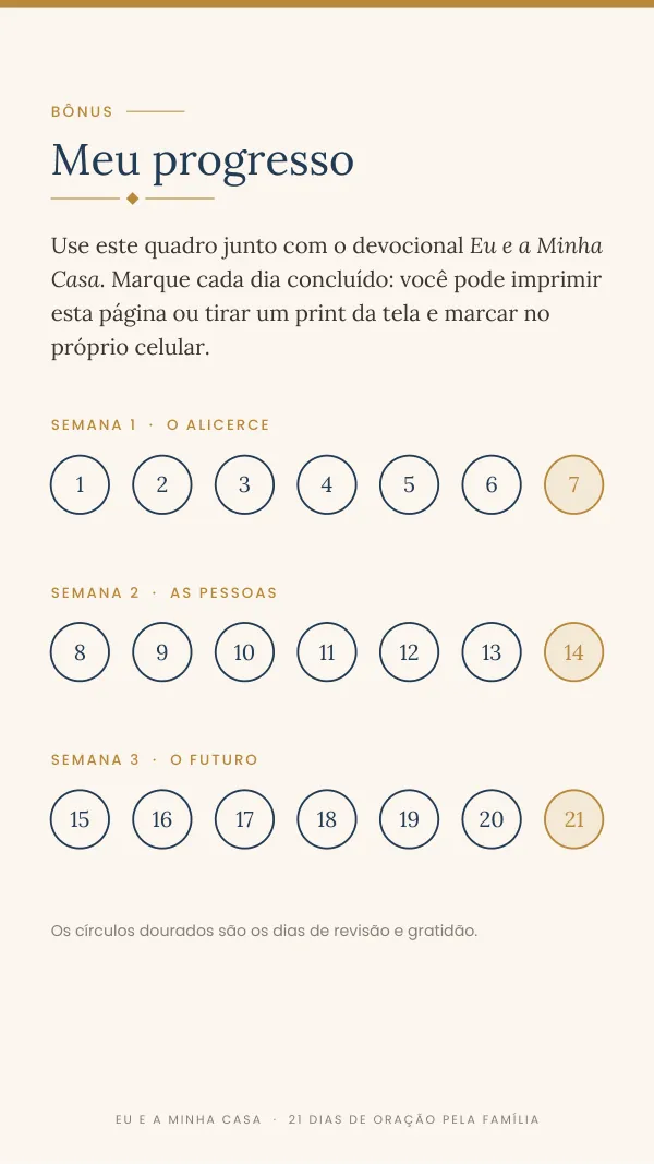 Bônus: quadro Meu progresso